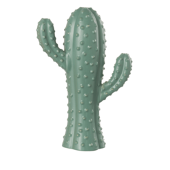 Cactus groen